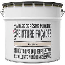 We did not find results for: Peinture Facade Pliolite Colours Ton Pierre 10l Castorama