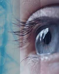 Dreamhawk Vision/Sunhawk vision