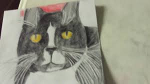 Making pokémon cards is illegal if the purpose is to sell them for profit. Part Six How To Make A Cat Card Youtube