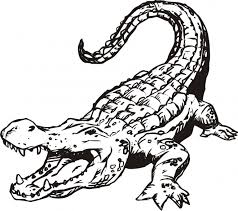 Cliques sur le dessin à colorier de crocodile pour débuter ce jeu de coloriage crocodile monstre. Coloriage Crocodile Ouvrant Sa Bouche Dessin Gratuit A Imprimer