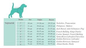 Alphadog Design Diamond Kopek Kiyafeti Mont N11 Com Yagmurluk Mont Kopek