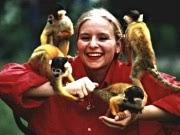 Check spelling or type a new query. Affen Und Vogelpark Eckenhagen Familienkultour