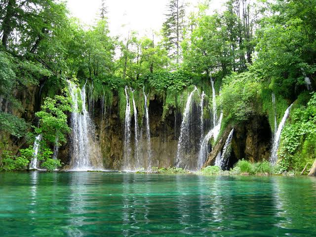 Goa Waterfall and Nature Tour
