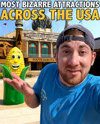 Stephen Steinhauser's Instagram, Twitter & Facebook