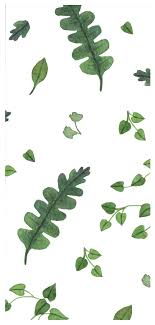 Maybe you would like to learn more about one of these? Wallpaper Daun Hijau Green Tree Leaf Vegetation Plant Botany Line Palm Tree Woody Plant Arecales 2059883 Wallpaperkiss