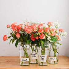 How To Make Flowers Last Longer | Popsugar Smart Living