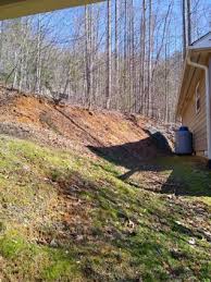 Haz clic ahora para jugar a slope. Stabilizing Slopes North Carolina Cooperative Extension