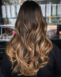 We love our cool tones and this dark hairstyle has the perfect amount. 32 Chestnut On Chestnut Here S A Fab Way To Layer A Dark Chestnut Brown Hair Color With Highlights In A Lighter Sh Hair Styles Balayage Hair Long Hair Styles