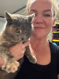 Who is the owner of the friendly female cat in the Redwood and Salter area?