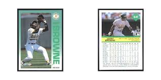 Image result for Brown 1992 Fleet