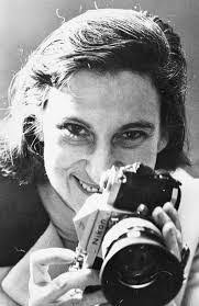 Public Release Photos from Alida Anderson Art Projects