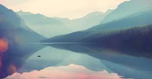 How do i become a contributor? Kollektionen Und Kategorien Lizenzfreier Bilder Shutterstock