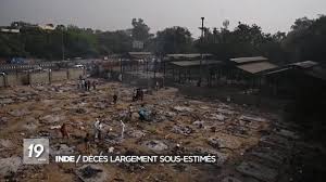 L'inde a enregistré au cours des deux derniers mois plus de 45 000 cas de la maladie dite du champignon noir. La Mucormycose Ce Champignon Noir Qui Tend A Se Propager Parmi Les Victimes Du Covid En Inde