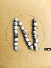 Indian baby boy names starting with n ; Image Of Seeds Of Job S Tears Scientific Name Coix Lacryma Jobi Arranged In A N Alphabet Qc551488 Picxy