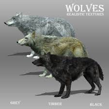 See more ideas about drawings, wolf drawing, cartoon drawings. 3d Model Wolf Animated Vr Ar Low Poly Rigged Animated Cgtrader