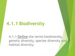 4 1 1 Biodiversity Define The Terms Biodiversity Genetic Diversity Species Diversity And Habitat Diversity Ppt Download