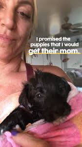 The woman who posted it on her personal facebook page has come forward to explain why she did it. The Dodo On Twitter This Woman Rescued A Litter Of Stray Puppies And Went Back Every Day Looking For Their Mom