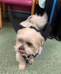 Briar Dawn Veterinary Centre