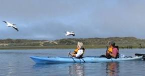 Kayak and Oyster Tasting Tours