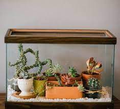 Repurposed fish tank ideas price list, console attach the color of this year excellent betta fish tank is to an efficient swirl separator comparable in a fish t only using much less space or a. 5 Awesome Ways To Repurpose A Fish Tank You Never Thought Of Old Fish Tank Fish Tank Terrarium Diy Fish Tank