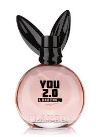 Playboy You 2.0 Loading Eau de Toilette Spray for Women 40 ml :  Amazon.com.be: Beauty