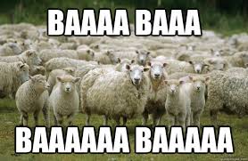 baaaa baaa baaaaaa baaaaa - Misc - quickmeme