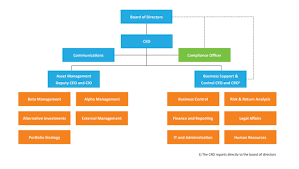 organisation and executive management