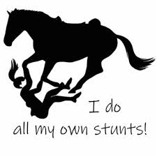 I Do My Own Stunts Horses Funny Quote Cutout Zazzle Com In 2021 Horse Quotes Funny Horse Riding Quotes Funny Quotes