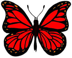 The Summertime And Butterflies All Belong To Your Creation Meaning Butterfly Graphics Animated Butterfly Graphics Butterfly Clip Art Butterfly Images Butterfly Art
