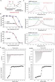 Get list of 30+ best online casino sites accepting malay players! Plos Neglected Tropical Diseases Protein Translation Enzyme Lysyl Trna Synthetase Presents A New Target For Drug Development Against Causative Agents Of Loiasis And Schistosomiasis