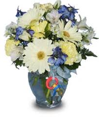 Baby diapering baby feeding baby toys baby's fashion bath & potty books, music & movies car check back daily for new ftd promo codes, sales, and coupons posted. Fresh Flowers To Welcome Baby Boy New Baby Flower Shop Network