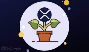 Xrp protects the ripple network from ddos attacks, and prevents spam. Cryptowhale On Why Xrp Is Better Than Bitcoin And Poised To Outperform All Other Altcoins Zycrypto