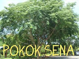 Jaminan masa pensiun, pendapatan stabil, hingga risiko kecil dari pemecatan jadi tiga alasan yang paling sering dijumpai. Perniagaan Pokok Tiga Bangsar Bab 3 Perniagaan Dalam Negeri Pembukaan Uud 1945 Pada Tanggal 18 Agustus 1945 Underkor