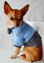 crochet dog sweater dog sweater with bow the oxford dog etsy hayvan giysileri kopek aksesuarlari kopek