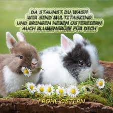 Ich muss los, die schaukel wird gerade frei. beenden. Ostergrusse Bilder Fur Whatsapp Und Email