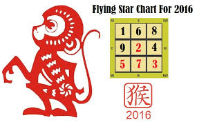 Flying Star 2016