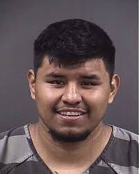 Police canine brings combatants to heel