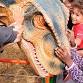 Dinosaur Weekend! event image