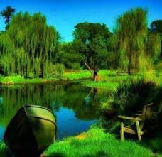 Most Beautiful Green Nature Wallpapers In The World Green Nature Wallpaper Beautiful Nature Wallpaper Nature Wallpaper