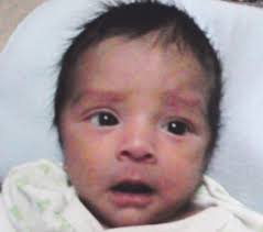 Imprimir Tecolotito.qxd