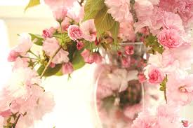 Diy upcycled rainbow pallet flower planter. Dreamy Shabby Chic Cottage Pink Cherry Blossoms Flowers In Vase Photograph By Kathy Fornal