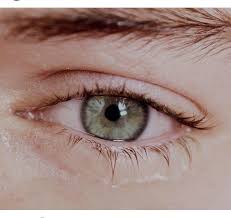 Pin By Patricia On Harry Styles Harry Styles Eyes Harry Styles Aesthetic Eyes