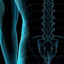 Maybe you would like to learn more about one of these? Head To Tail The Molecules That Tell You How To Grow A Backbone Monash Biomedicine Discovery Institute