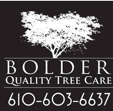 George S Tree Service Home Facebook