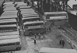 Pin On Buses