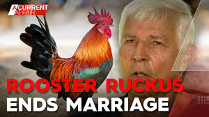 FlashbACA: Wife leaves after rooster ruckus