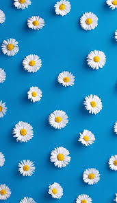 Flowers Iphone Wallpapers 30 Pinterest Flowers Wallpaper Cute Tumblr Wallpaper Blue V 2020 G Oboi Dlya Iphone Fony Dlya Iphone Cvetochnoe Iskusstvo