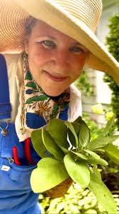 Spent the morning harvesting herbs: mugwort, sage, lemon balm &  passionflower vine! Stay tuned for some recipes at Creative Heart  Collective