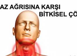 Bogaz Agrisi Nedenleri Bogaz Agrisina Kesin Cozum Saglik Evde Hazirlabilen Ilaclar Dogal Tedaviler