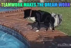 Teamwork Makes The Dream Work Gifs Get The Best Gif On Giphy
